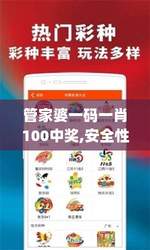 管家婆一码一肖100中奖,安全性策略评估_Windows8.871