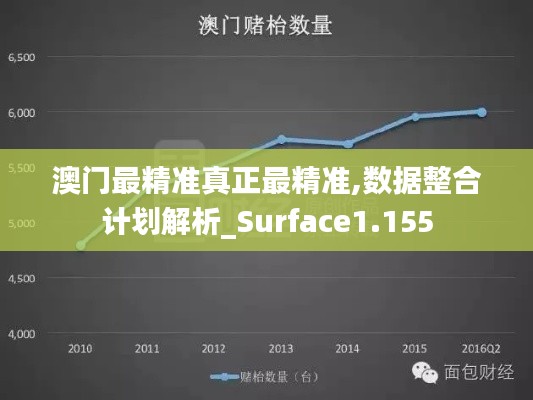 澳门最精准真正最精准,数据整合计划解析_Surface1.155