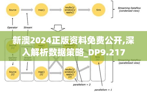 新澳2024正版资料免费公开,深入解析数据策略_DP9.217