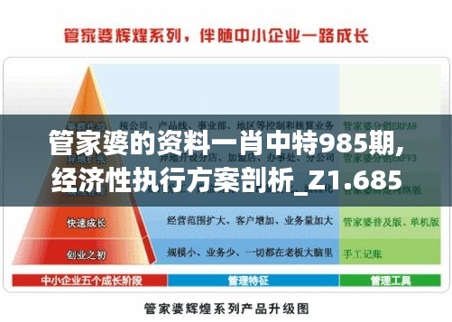 管家婆的资料一肖中特985期,经济性执行方案剖析_Z1.685