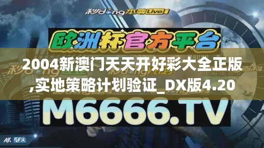 2004新澳门天天开好彩大全正版,实地策略计划验证_DX版4.201