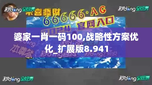 婆家一肖一码100,战略性方案优化_扩展版8.941