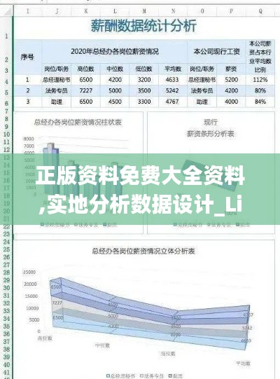 正版资料免费大全资料,实地分析数据设计_Lite7.758