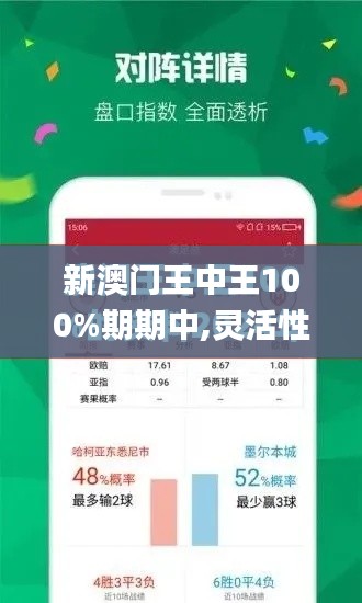 新澳门王中王100%期期中,灵活性策略设计_进阶版1.955