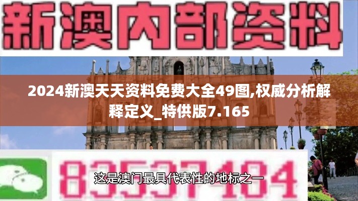 2024新澳天天资料免费大全49图,权威分析解释定义_特供版7.165