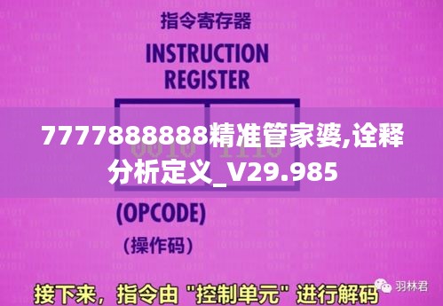 7777888888精准管家婆,诠释分析定义_V29.985