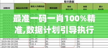 最准一码一肖100%精准,数据计划引导执行_尊享款2.179