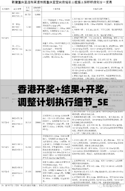 香港开奖+结果+开奖,调整计划执行细节_SE版6.892