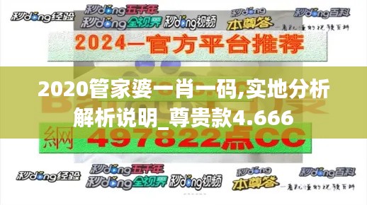 2020管家婆一肖一码,实地分析解析说明_尊贵款4.666