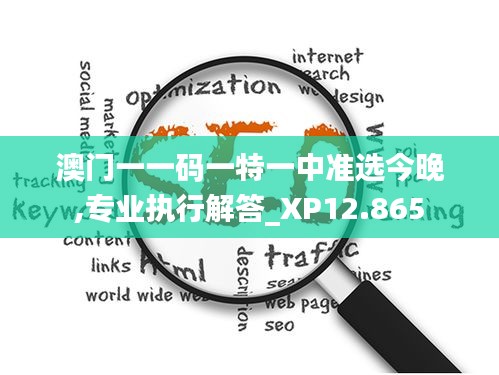 澳门一一码一特一中准选今晚,专业执行解答_XP12.865