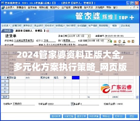 2024管家婆资料正版大全,多元化方案执行策略_网页版12.909