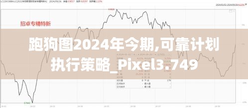 跑狗图2024年今期,可靠计划执行策略_Pixel3.749