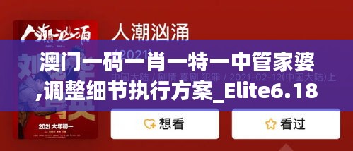 澳门一码一肖一特一中管家婆,调整细节执行方案_Elite6.182