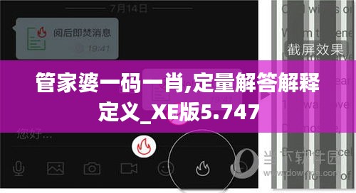 管家婆一码一肖,定量解答解释定义_XE版5.747