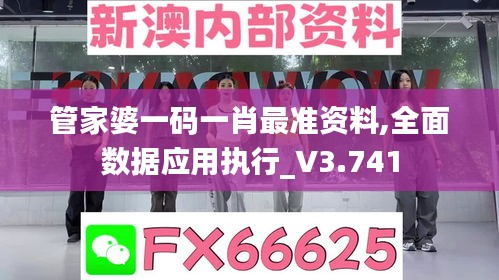 管家婆一码一肖最准资料,全面数据应用执行_V3.741