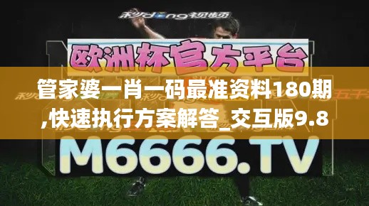 管家婆一肖一码最准资料180期,快速执行方案解答_交互版9.888