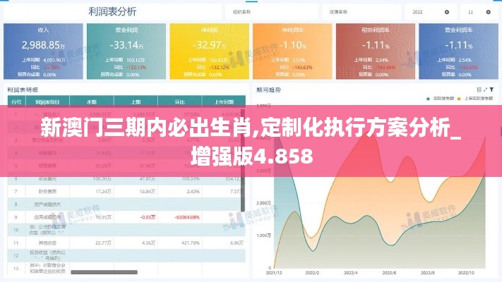 新澳门三期内必出生肖,定制化执行方案分析_增强版4.858