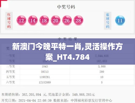 新澳门今晚平特一肖,灵活操作方案_HT4.784