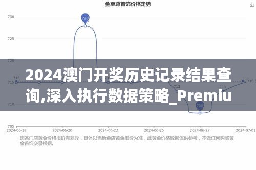 2024澳门开奖历史记录结果查询,深入执行数据策略_Premium3.365