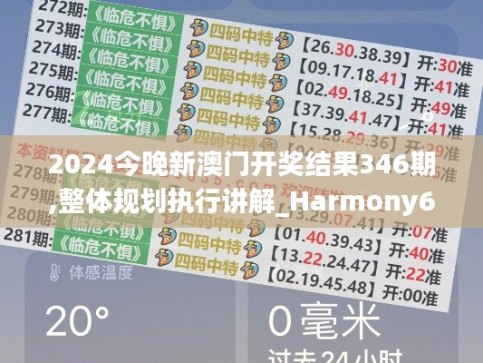 2024今晚新澳门开奖结果346期,整体规划执行讲解_Harmony6.205