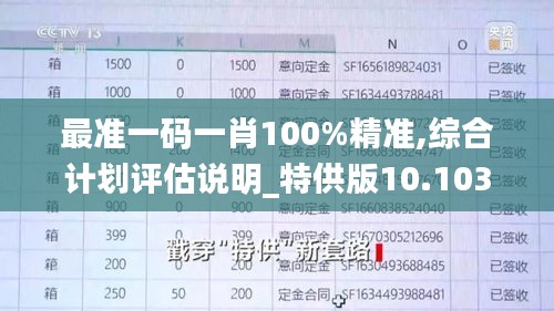 最准一码一肖100%精准,综合计划评估说明_特供版10.103