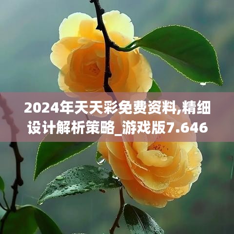 2024年天天彩免费资料,精细设计解析策略_游戏版7.646