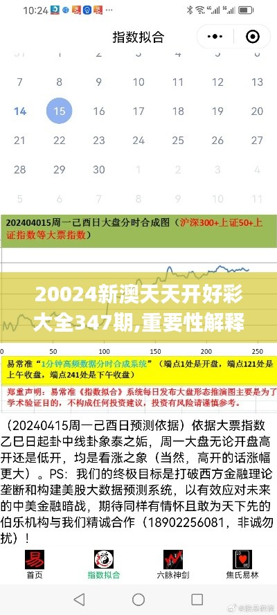 20024新澳天天开好彩大全347期,重要性解释定义方法_MR10.203