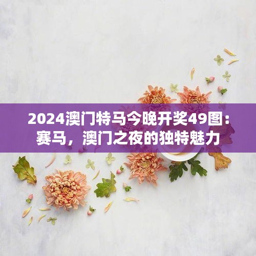 2024澳门特马今晚开奖49图：赛马，澳门之夜的独特魅力