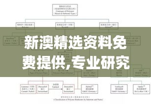 新澳精选资料免费提供,专业研究解释定义_NE版9.335