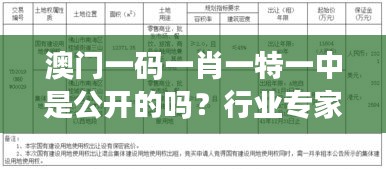 澳门一码一肖一特一中是公开的吗？行业专家的解读