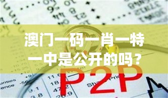 澳门一码一肖一特一中是公开的吗？透明度与信任的关系