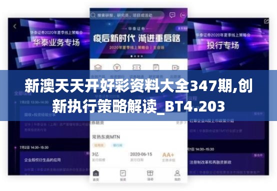 新澳天天开好彩资料大全347期,创新执行策略解读_BT4.203