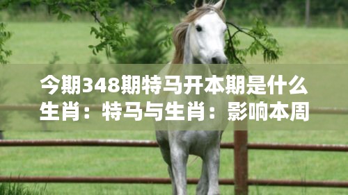 今期348期特马开本期是什么生肖：特马与生肖：影响本周运气的关键因素