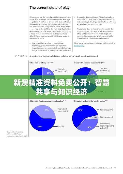 新澳精准资料免费公开：智慧共享与知识经济