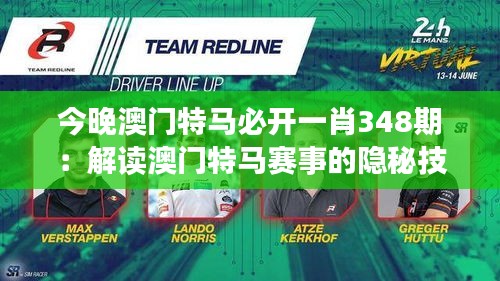 今晚澳门特马必开一肖348期：解读澳门特马赛事的隐秘技巧