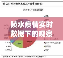 陵水疫情实时数据观察视角下的深度思考，某某观点解析