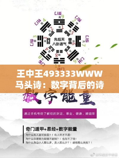 王中王493333WWW马头诗：数字背后的诗意世界