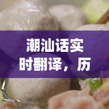 潮汕话的实时翻译，独特地位、历史背景、重要事件与时代影响探索