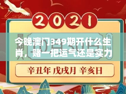 今晚澳门349期开什么生肖，赌一把运气还是实力？