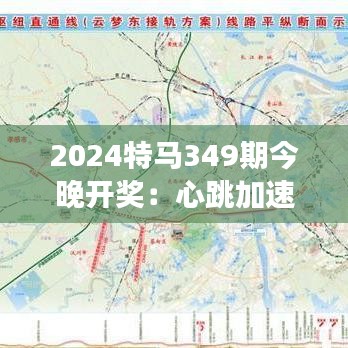 2024特马349期今晚开奖：心跳加速，梦想成真的夜晚