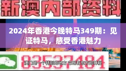 2024年香港今晚特马349期：见证特马，感受香港魅力