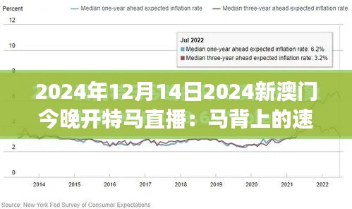 2024年12月14日2024新澳门今晚开特马直播：马背上的速度与激情，澳门特马赛事的狂热