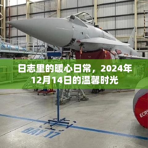 日志中的暖心日常，2024年温馨时光记录