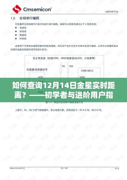 初学者与进阶用户指南，如何查询金星在12月14日的实时距离？