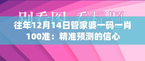 往年12月14日管家婆一码一肖100准：精准预测的信心