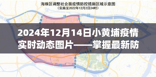 2024年12月14日小黄埔疫情最新动态图片，共同关注防控进展，筑牢健康安全防线