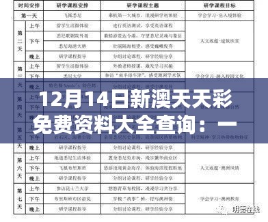 12月14日新澳天天彩免费资料大全查询：一窥天机的秘诀