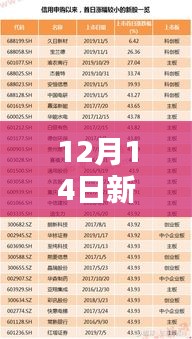 12月14日新澳门王中王100%期期中，揭秘赢家的必杀技