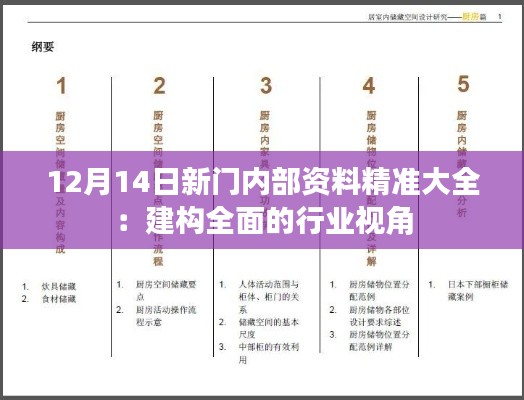 12月14日新门内部资料精准大全：建构全面的行业视角