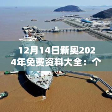 12月14日新奥2024年免费资料大全：个性化学习资源的新选择